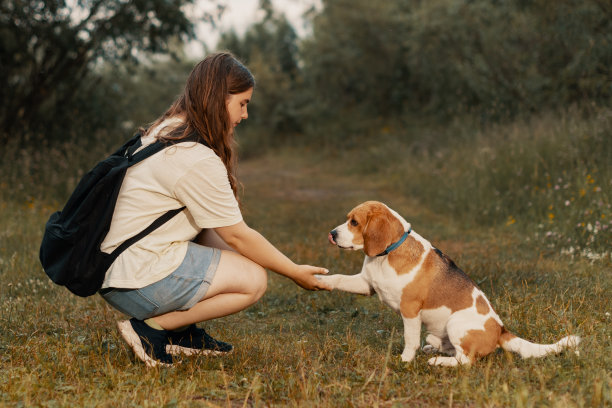 少女和狗在农村，侧视图。年轻的宠物主人牵着狗的爪子图片下载