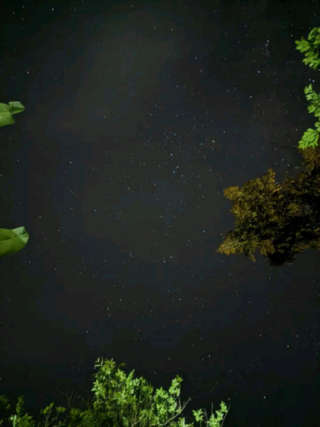 星星在晚上图片下载