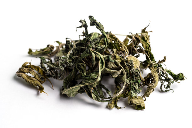 分离的凉茶干大麻，大麻，大麻叶白底图片下载