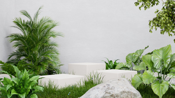 用于产品展示的热带森林白色立方体基座和白色石膏墙。图片下载