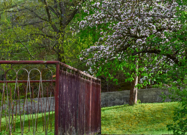 浪漫的露台图片下载