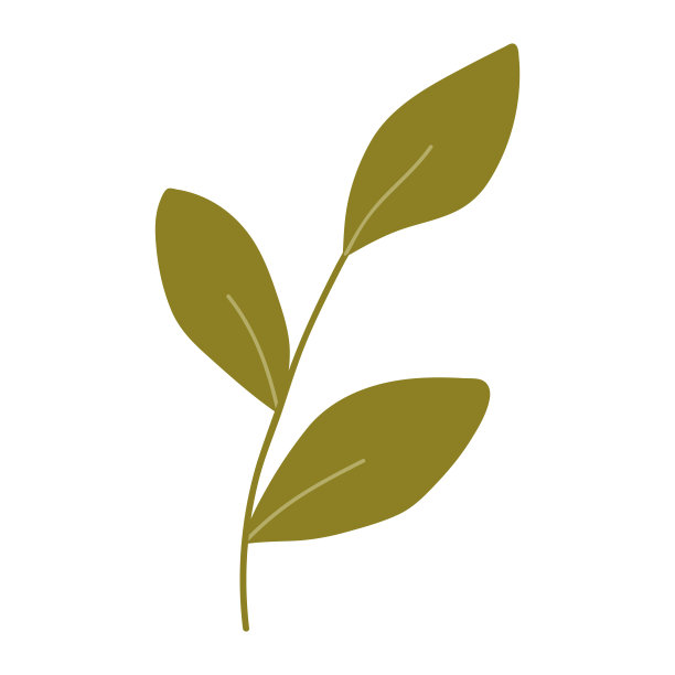 绿色小枝，叶在白色背景上离生。矢量插图手绘平面风格。完美的卡片，标志，装饰，春夏设计。植物剪纸艺术。图片下载