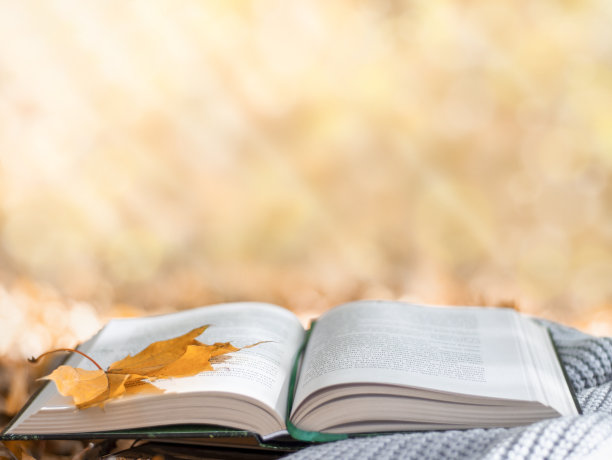 秋天的公园里，翻开书躺在温暖的围巾上，背景是黄色的树叶，选择性的聚焦图片下载