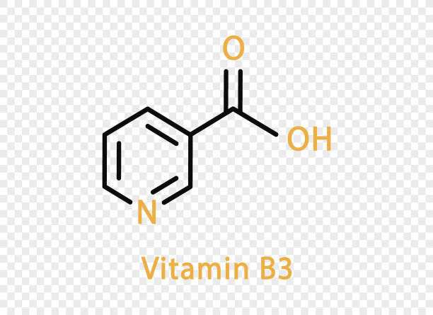维生素B3的化学式。在透明背景下分离出的维生素B3结构化学式。图片下载