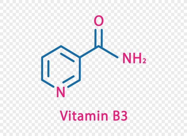 维生素B3的化学式。在透明背景下分离出的维生素B3结构化学式。图片下载