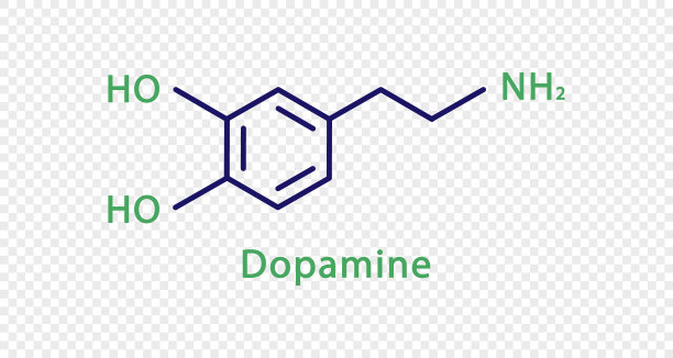 多巴胺化学公式。透明背景下分离出多巴胺结构化学式。图片下载