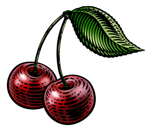 樱桃浆果水果古董木刻插图图片下载