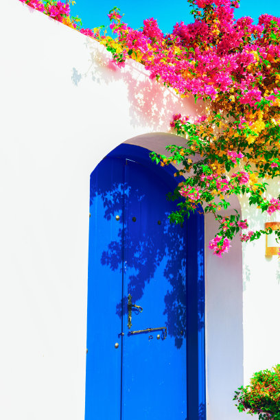 传统的地中海住宅，有石砌的篱笆和一扇用开花植物装饰的蓝色大门。侧视图图片下载