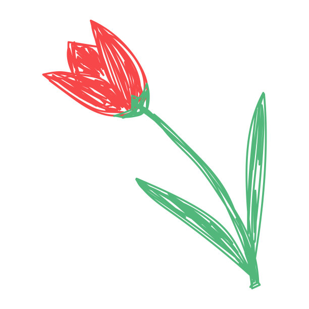 郁金香花与叶片素描。手绘矢量插图。笔或马克笔涂鸦植物图片下载