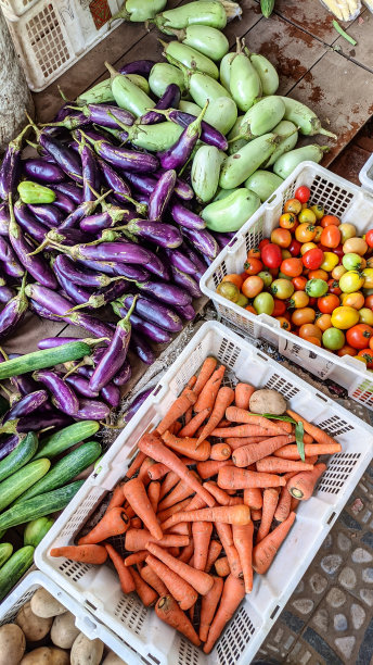 各种有机蔬菜图片下载
