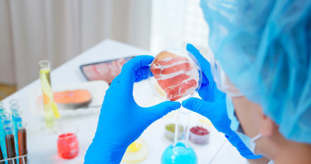 食品安全的概念图片下载