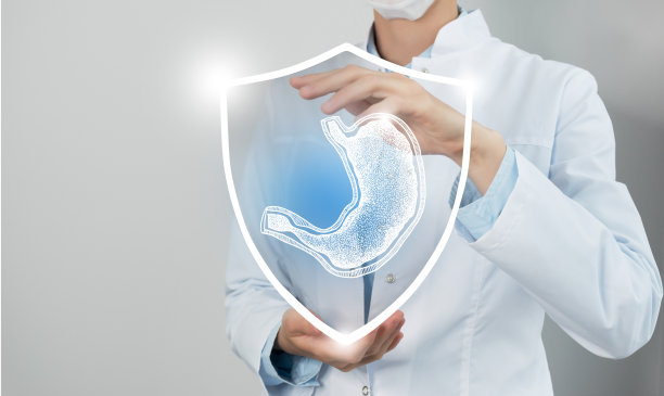 无法辨认的女医生手持盾牌和胃部器官的图形虚拟可视化在手。图片下载
