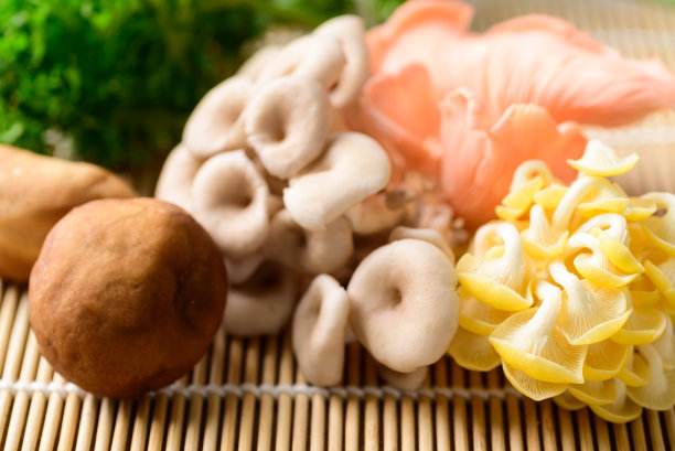 什锦香菇、食用菌图片下载