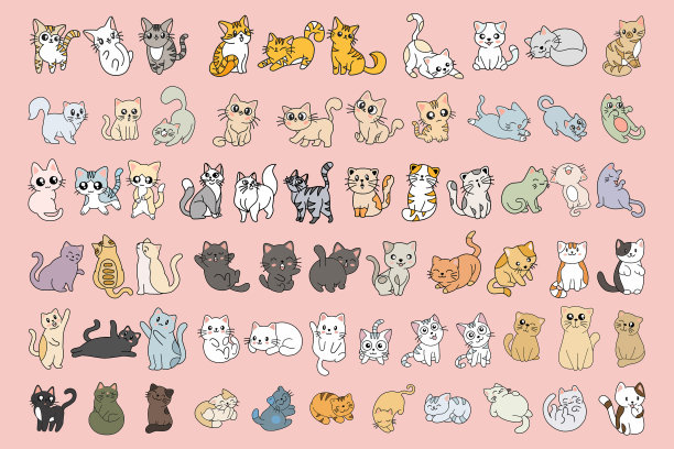 设置mega收集束可爱的猫小猫图片下载