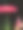 粉红色大丽花与黑暗的背景图片下载