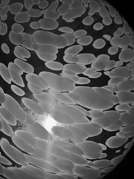 希望的概念图片下载