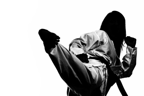 空手道流图片下载