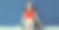 现代年轻女子坐在滑板上戴着棒球帽，短裤在城市街道上空白拷贝空间蓝色的墙背景图片下载