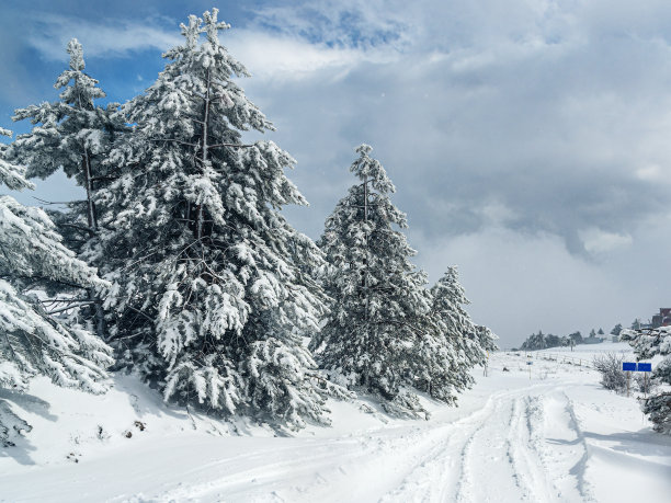 暴风雪过后，埃佩特里山山顶被雪覆盖的森林。克里米亚图片下载