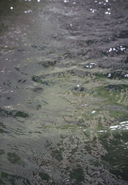 水反射图片下载