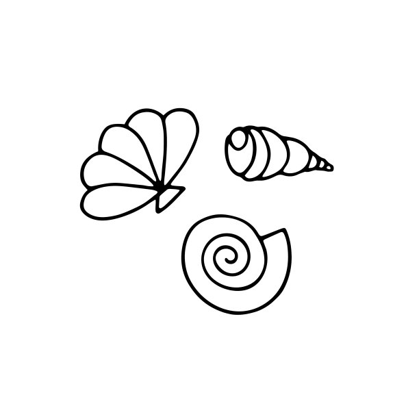 贝壳的夏天图片下载