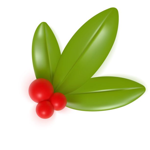 3 d红蔓越莓图片下载