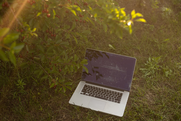 笔记本电脑放在公园的绿草地上。户外工作图片下载