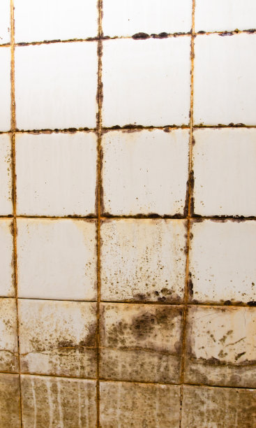 黑色和绿色的霉菌生长在淋浴灌浆接缝瓷砖上，出现在浴室角落的陶瓷墙上图片下载