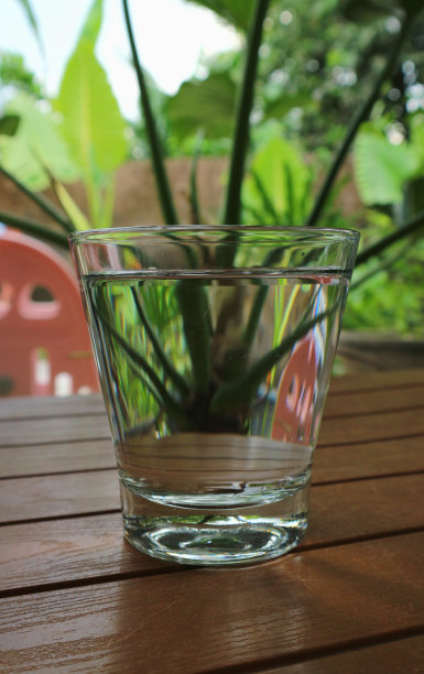 透明玻璃杯中的一杯水，放在背景是树的木桌上。图片下载