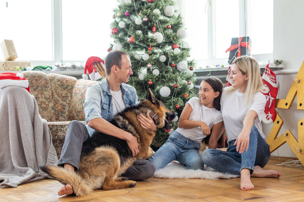 圣诞快乐，新年快乐。幸福的一家人带着狗狗坐在美丽的圣诞树旁等待新年的到来。图片下载
