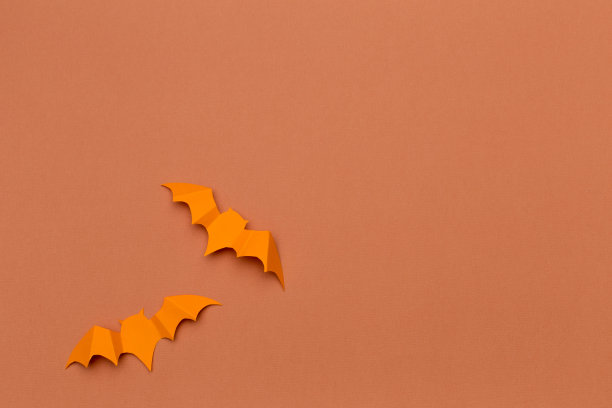 万圣节装饰概念——纸蝙蝠飞图片下载