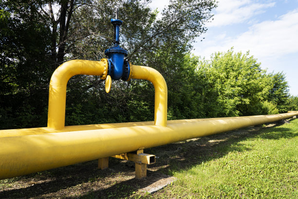 在多云的天空下，草地上的水管上的水龙头图片下载