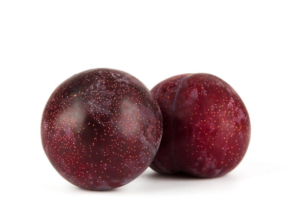 白底分离的新鲜美洲李子图片下载