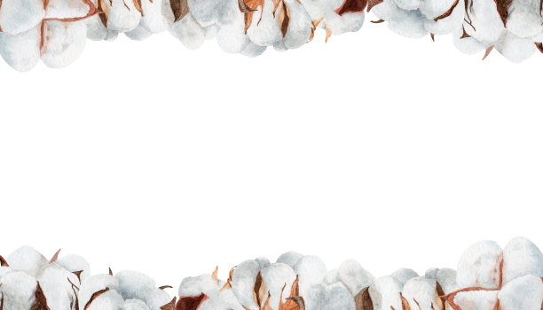 棉花水平水彩框架上孤立的白色背景。用于设计社交媒体、文具、印刷品等。图片下载