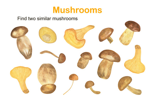 为孩子们寻找两个相似的森林蘑菇教育活动，秋天秋天的拼图游戏，简单的水彩插图工作表的乐趣和休闲时间，感恩节的节日庆祝图片下载
