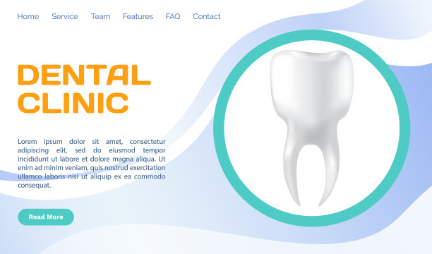 人的牙龈有健康的牙齿和假牙图片下载