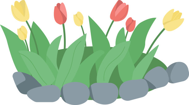 花卉床与郁金香半平色对象图片下载