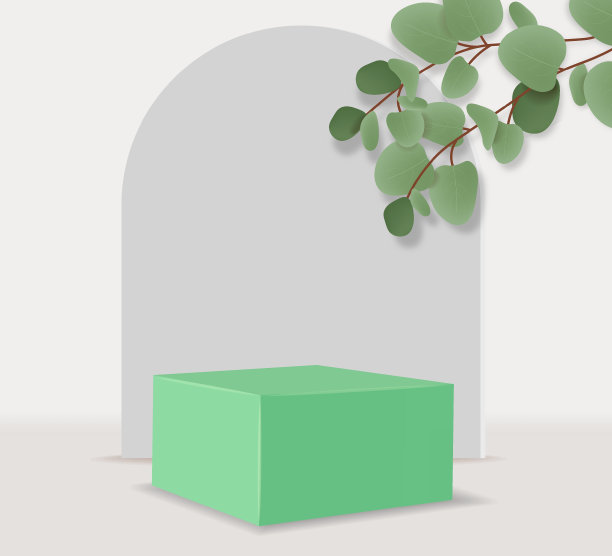 白色背景下的植物特写镜头图片下载