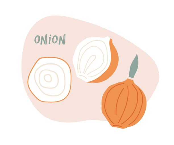 洋葱手绘涂鸦。整根和半根。用于标识，菜单，图标农贸市场，厨房打印，有机食品商店，天然保健产品。新鲜的农场蔬菜。图片下载