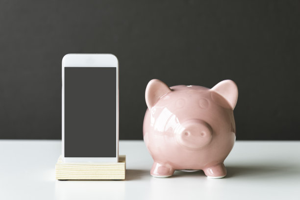 个人财务状况图片下载