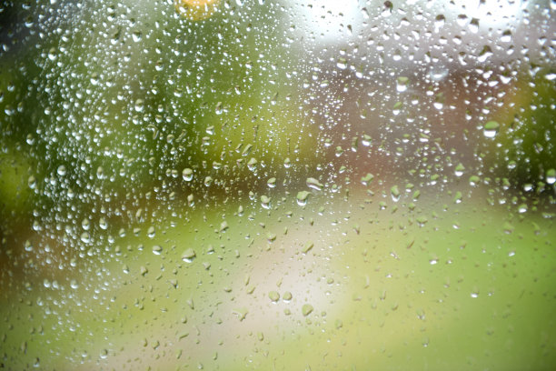 花园里下着暴雨图片下载