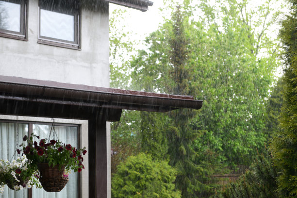 倾盆大雨在花园里图片下载