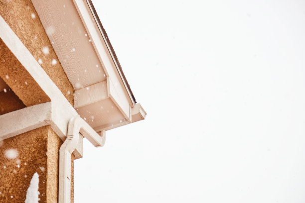 夏季暴雪中住宅外观的外部元素图片下载