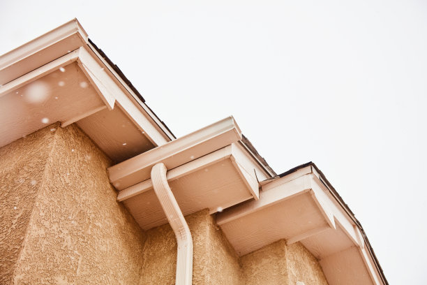 夏季暴雪中住宅外观的外部元素图片下载