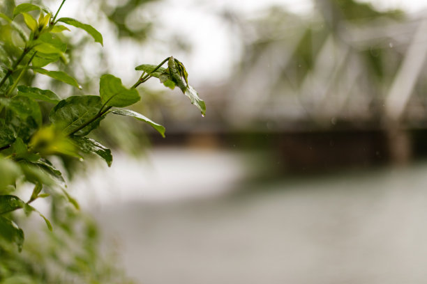 雨中的邻居桥-美国中西部在春天的天气和季节照片系列图片下载