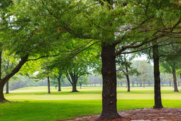 邻近公园和高尔夫球场在雨后-中西部美国在春天天气和季节照片系列图片下载
