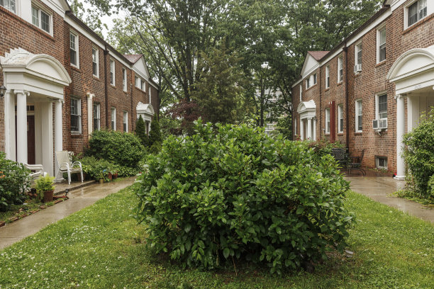 住宅区的夏雨图片下载