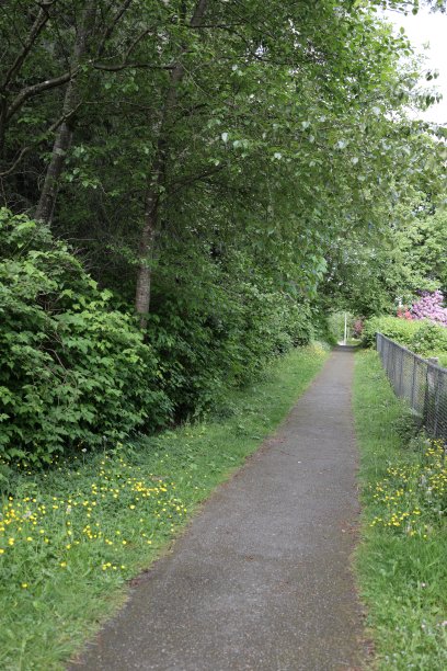 加拿大不列颠哥伦比亚省西南部森林边缘的走廊图片下载