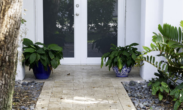 在独栋房屋外种植植物的种植者图片下载