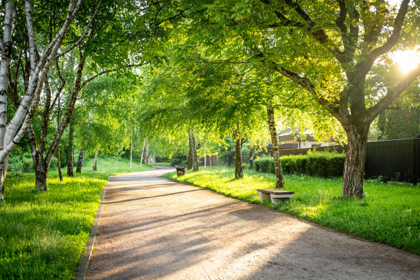 阳光明媚的春夏，林间小径。图片下载